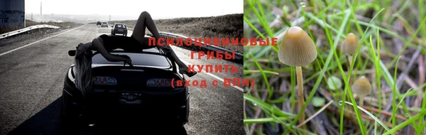 mdpv Аркадак