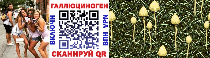 Псилоцибиновые грибы Cubensis  закладка  Краснодар 